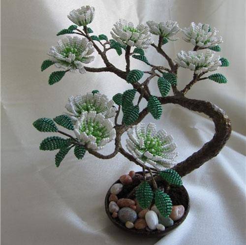 cvetushhiy-bonsay.jpg